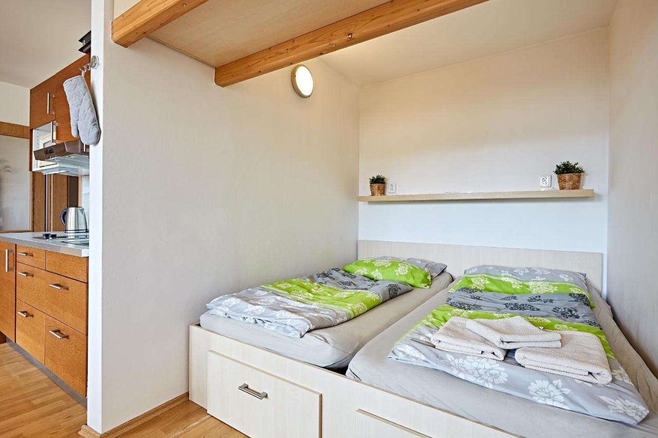 Apartmán Klínovec 365 Loučná pod Klínovcem Kültér fotó