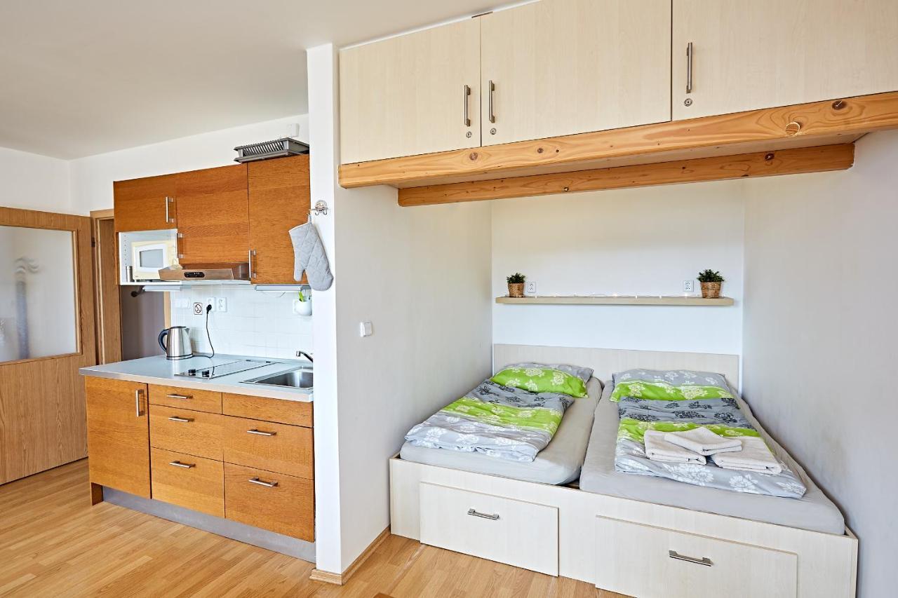 Apartmán Klínovec 365 Loučná pod Klínovcem Kültér fotó